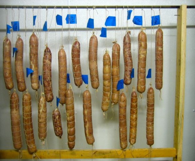 Drycured sausage… food of luxury and rugged durability thoughts from