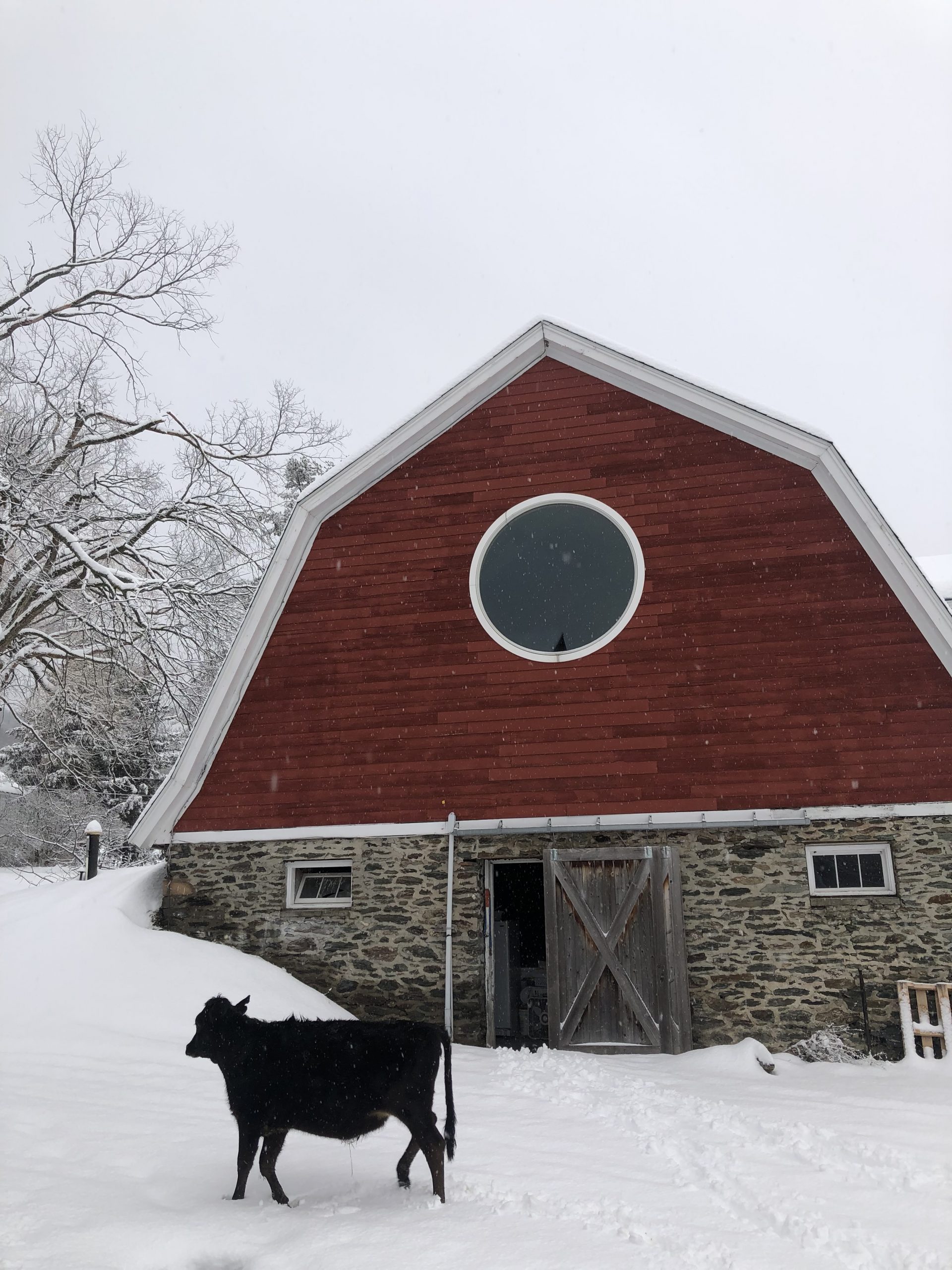 The Stone Barn in winter